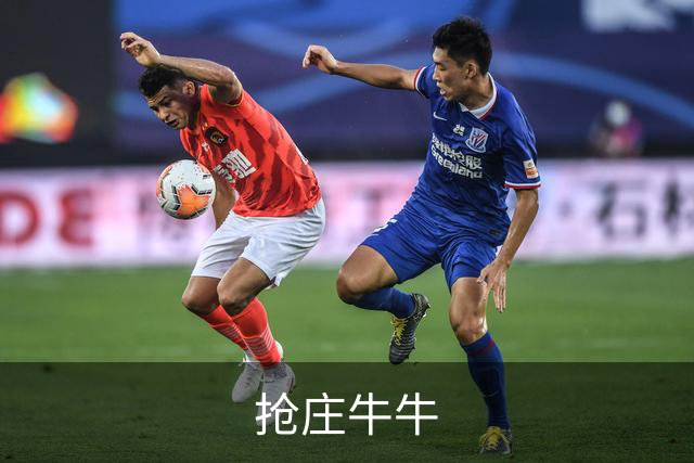 抢庄牛牛 公司简介